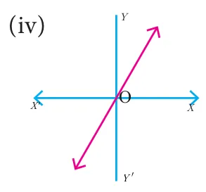 Graph (iv): a straight magenta line with arrowheads at both ends passing through the origin with positive slope, from the third quadrant to the first quadrant.