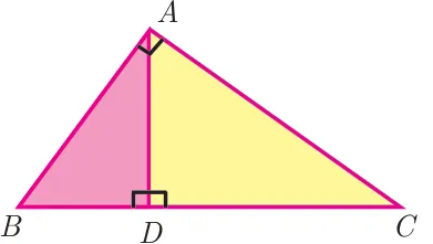 Right triangle ABC with the right angle at vertex A, B at bottom-left and C at bottom-right, and altitude AD drawn perpendicular to BC at D, dividing it into two differently shaded sub-triangles.